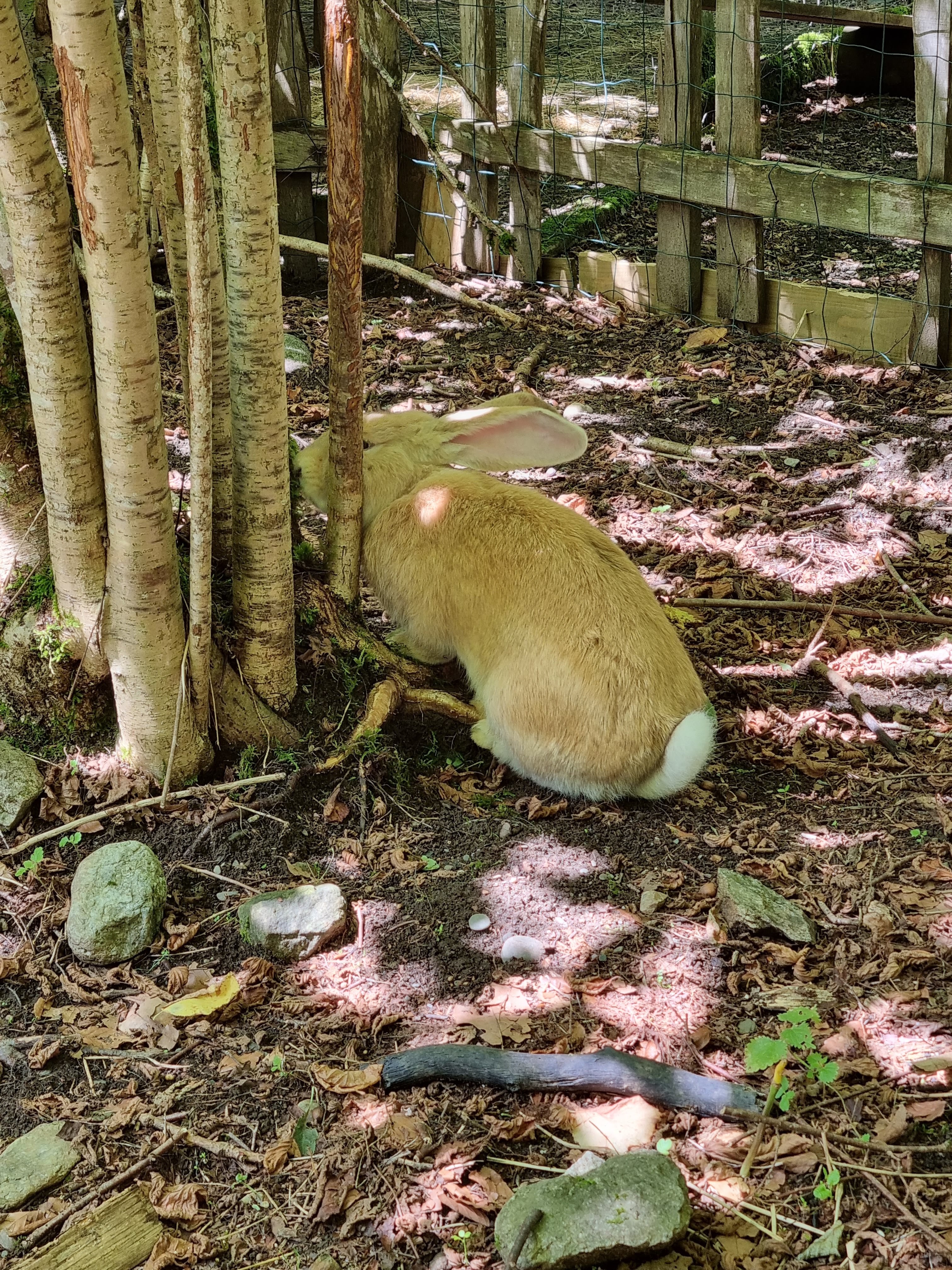 Photo n° 14 de l'avis de Laetitia.a fait le 27/08/2022 à 15:00
