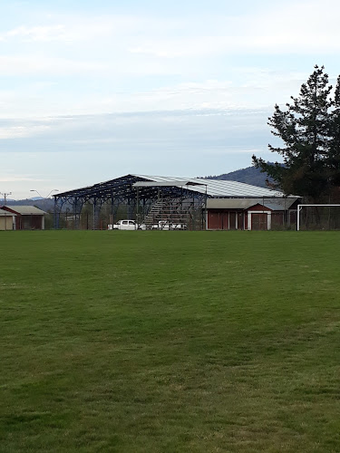 Opiniones de Estadio Peñablanca en Pumanque - Campo de fútbol