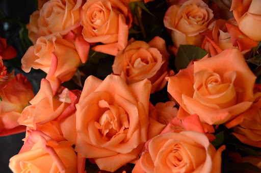 Florist «Carousel Flowers by Shamrock Garden Florist», reviews and photos, 527 S York St, Elmhurst, IL 60126, USA