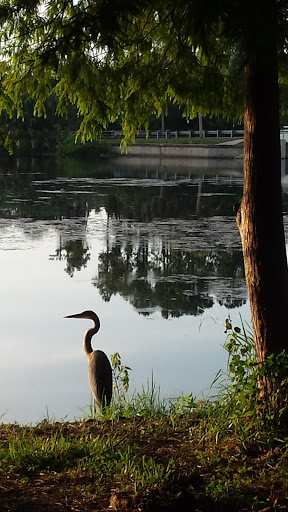 Golf Club «Pinecrest Golf Club», reviews and photos, 1200 8th Ave SW, Largo, FL 33770, USA