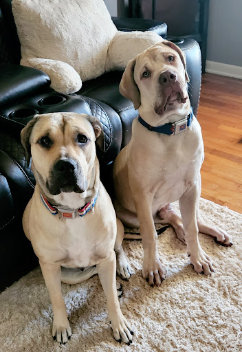 Pet Supply Store «Concord Pet Foods & Supplies», reviews and photos, 135 Aerenson Dr, Milford, DE 19963, USA