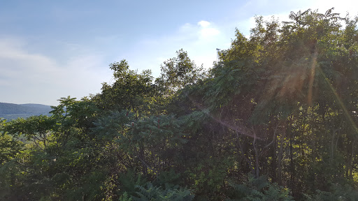 Observatory «United Astronomy Clubs of New Jersey», reviews and photos, 333 State Park Rd, Hope, NJ 07844, USA