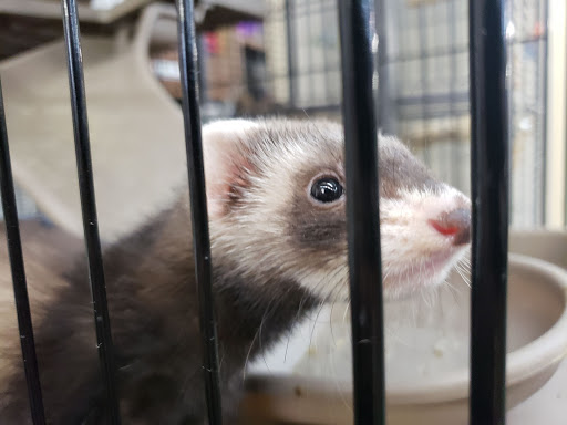 Pet Supply Store «Saluda River Pet Food And Supply Center», reviews and photos, 1600 Augusta St, Greenville, SC 29605, USA