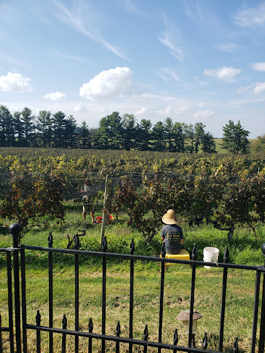 Vineyard «Elk Run Vineyards», reviews and photos, 15113 Liberty Rd, Mt Airy, MD 21771, USA