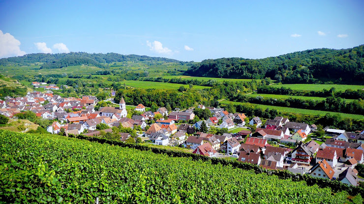 Extérieur Gasthaus/Pension Gästehaus Schätzle 79235 Vogtsburg