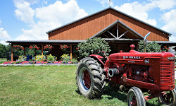 Blooms & Berries Farm Market