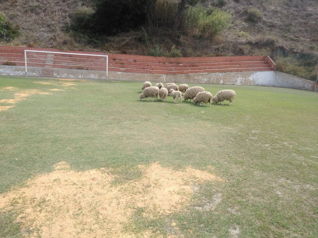 Grupo Desportivo Terras da Costa - Almada