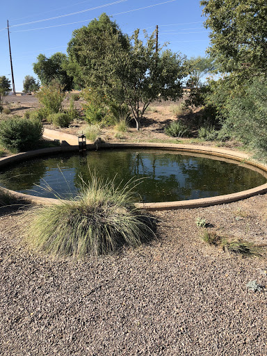 Park «Zanjero Park», reviews and photos, 3785 S Lindsay Rd, Gilbert, AZ 85297, USA