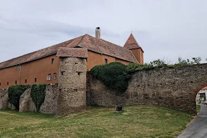 Jurisics Castle image