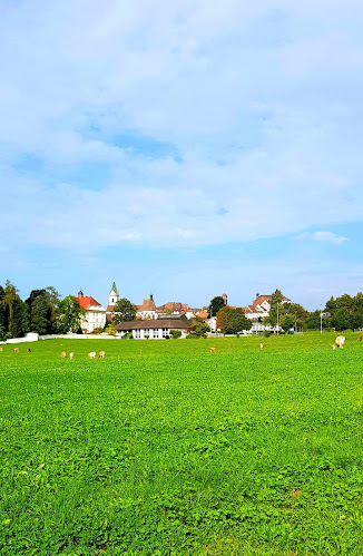 Wiler Altstadt, ein Juwel der Ostschweiz - Museum