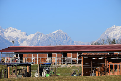 Konjeniški center SM ranč Radomlje