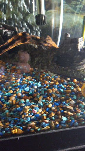 Pet Store «Pet World», reviews and photos, 7585 W 10th Ave, Lakewood, CO 80214, USA