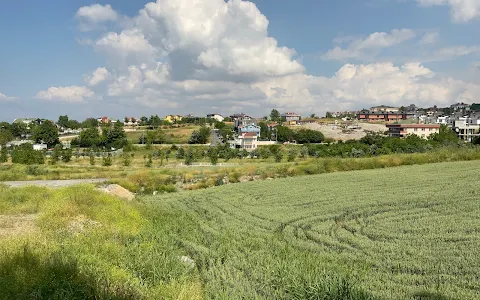 Umut Meyve Ormanı image