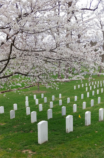 Monument «The Tomb of the Unknowns», reviews and photos, 1 Memorial Ave, Fort Myer, VA 22211, USA