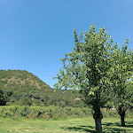 Photo n°8 de l'avis de Robs.n fait le 01/10/2023 à 13:45 sur le  Locanda del Pesco à Collebeato