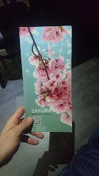 Photo n°51 de Sakura à Forbach ()