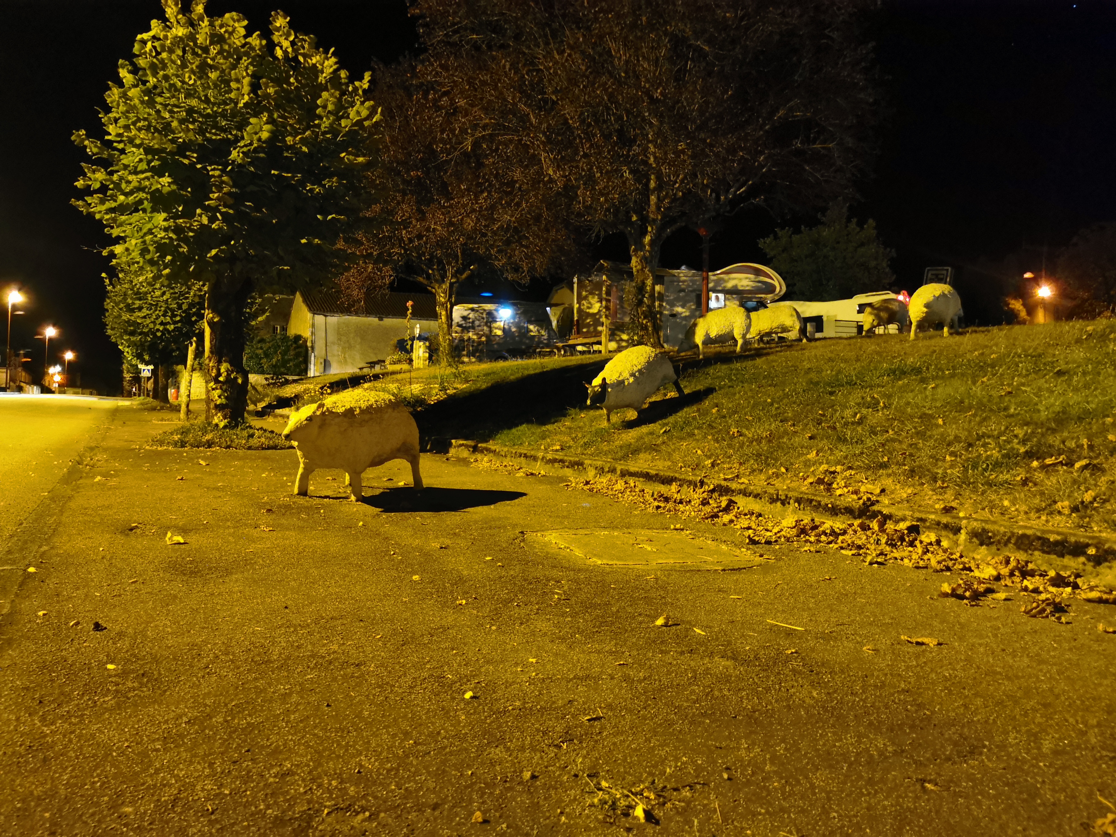 Photo n° 9 de l'avis de Thoras.a fait le 24/09/2022 à 20:43