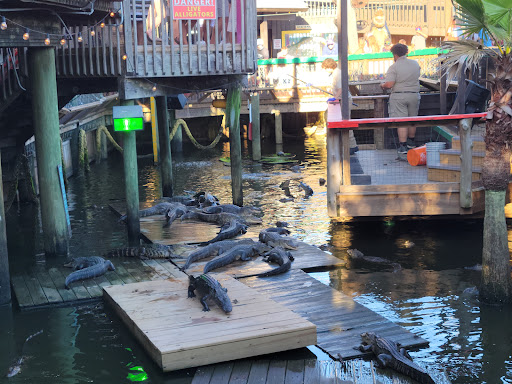 Restaurant «Fudpuckers Beachside Bar & Grill», reviews and photos, 20001 Emerald Coast Pkwy, Destin, FL 32541, USA