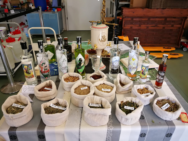 Rezensionen über Distillerie d'Absinthe Persoz Sàrl in Val-de-Travers NE - Museum