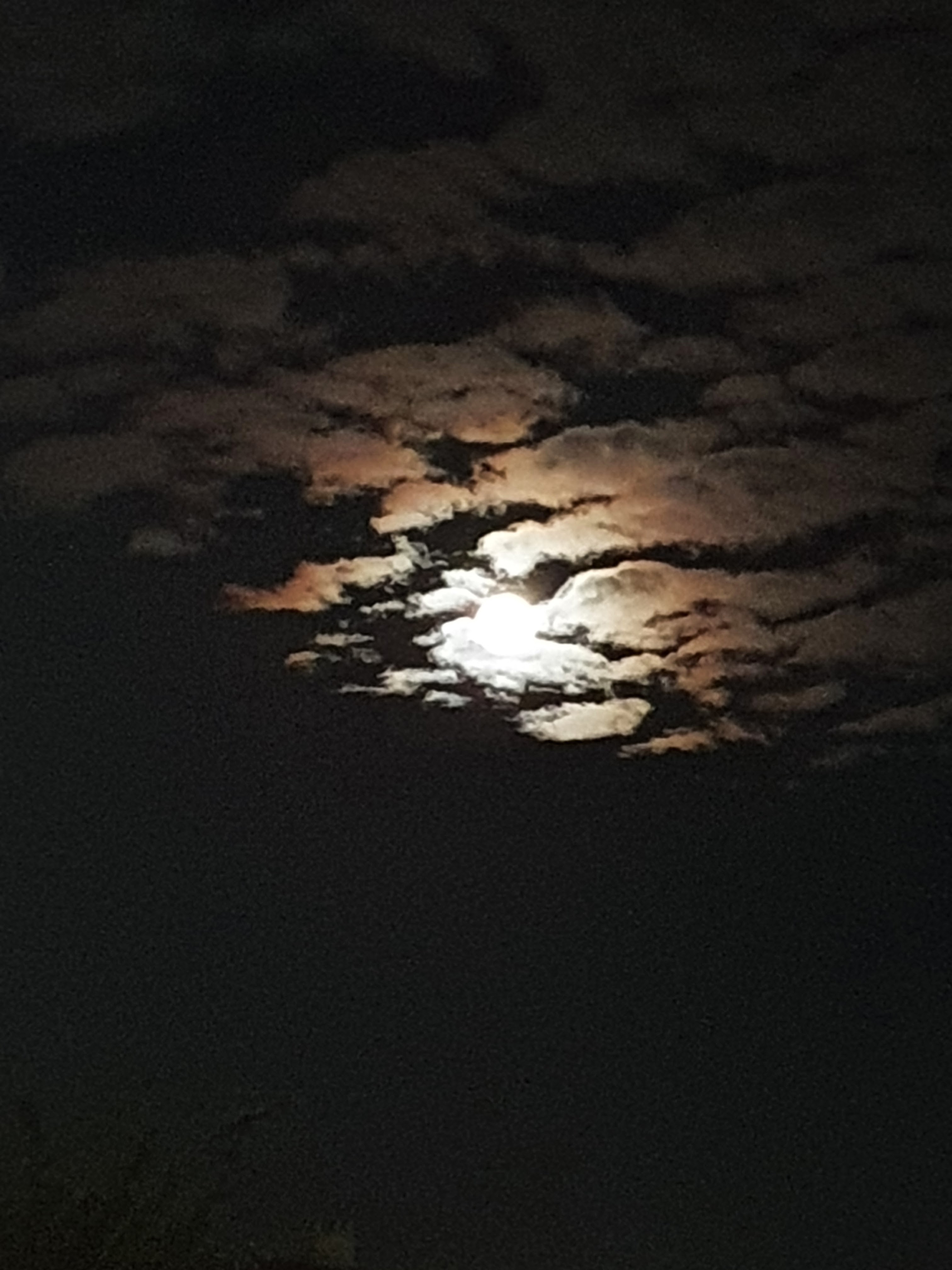 Photo n° 4 de l'avis de Catherine.o fait le 29/07/2021 à 23:57
