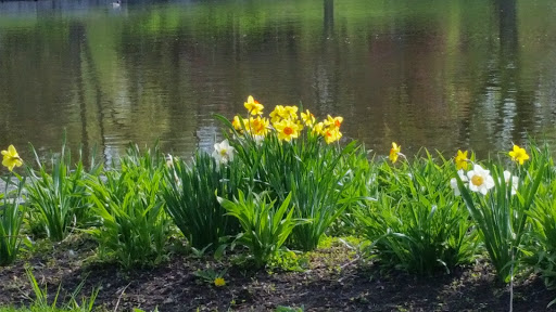 Performing Arts Theater «Prairie Center For the Arts», reviews and photos, 201 Schaumburg Ct, Schaumburg, IL 60193, USA