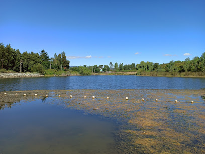 Laguna 'Rayencura'