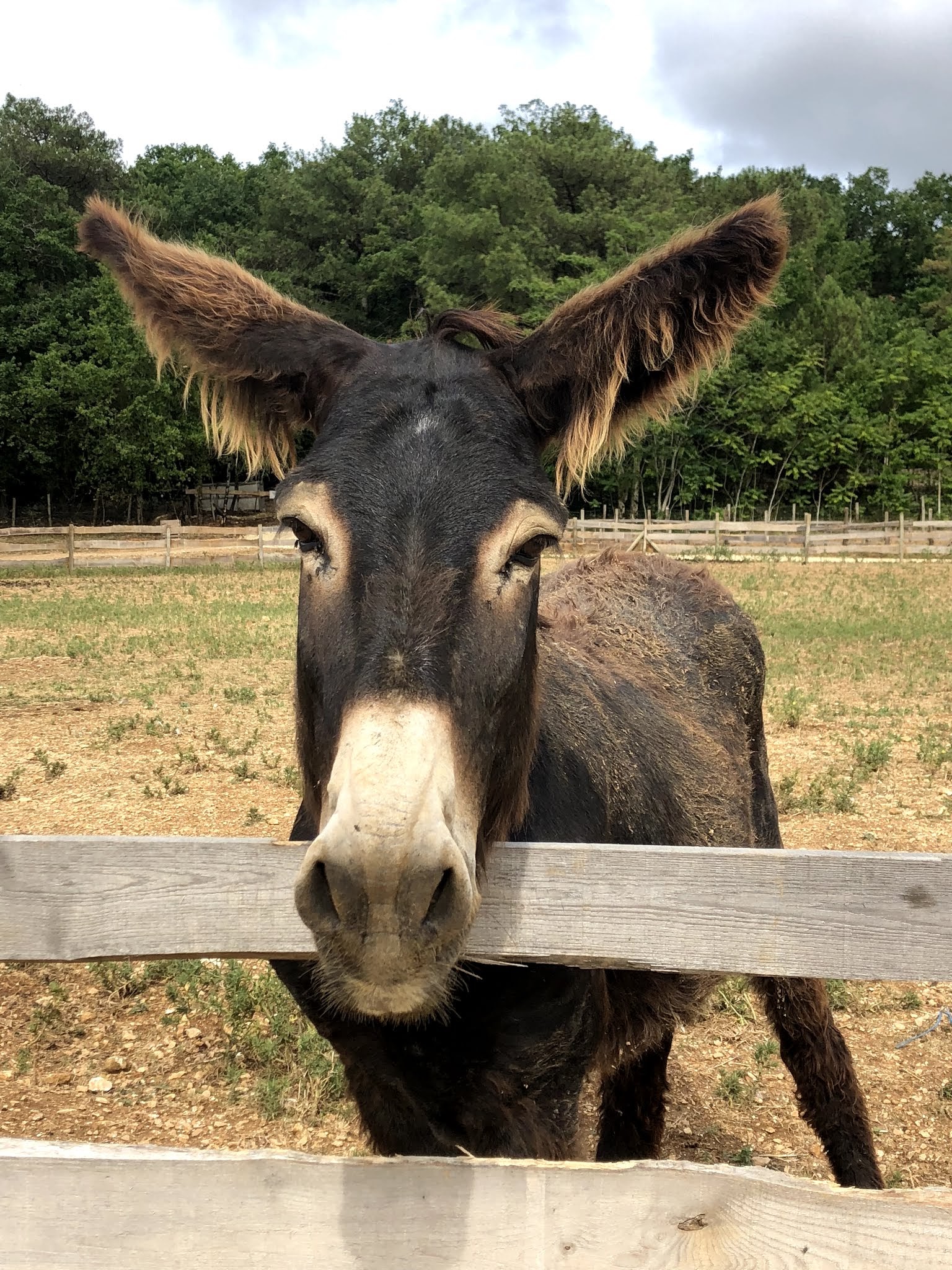 Photo n° 3 de l'avis de Izzie. fait le 26/07/2019 à 19:34