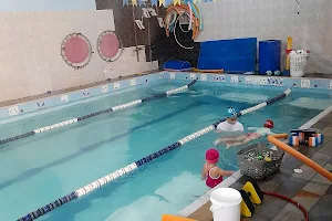 Sea Lion Swim School image