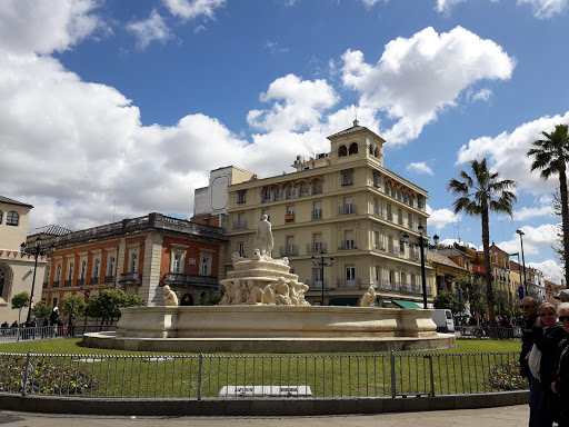Escuela de Infantil y Primaria Waldorf Sevilla Girasol, Institución educativa privada en Mairena del Aljarafe,Sevilla