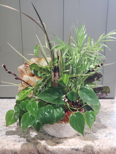 Florist «Carrolls Florist of Beverly», reviews and photos, 385 Cabot St, Beverly, MA 01915, USA