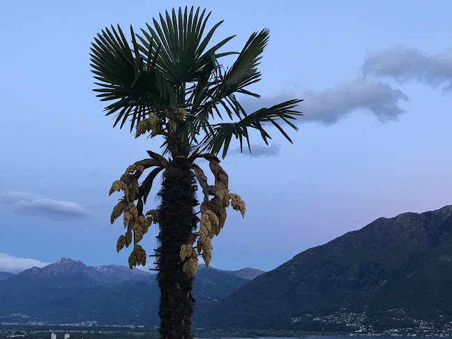 HM Investment & Immobilien AG - Locarno