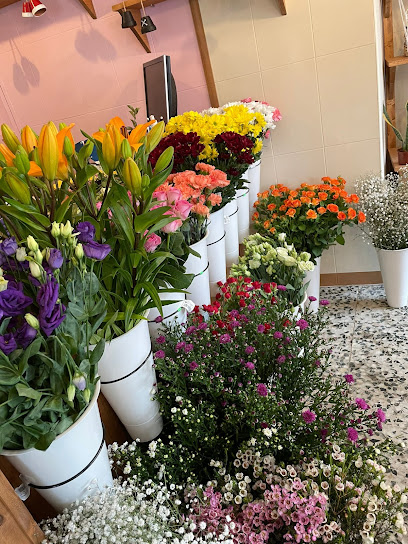 Aquagarden en Los Molinos