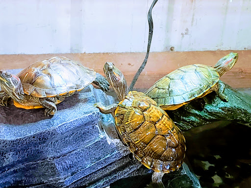 Pet Supply Store «Valley Feed», reviews and photos, 1486 Freedom Blvd, Watsonville, CA 95076, USA