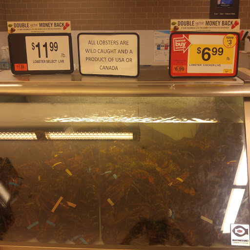 Grocery Store «Stop & Shop», reviews and photos, 100 Powder Mill Rd, Acton, MA 01720, USA