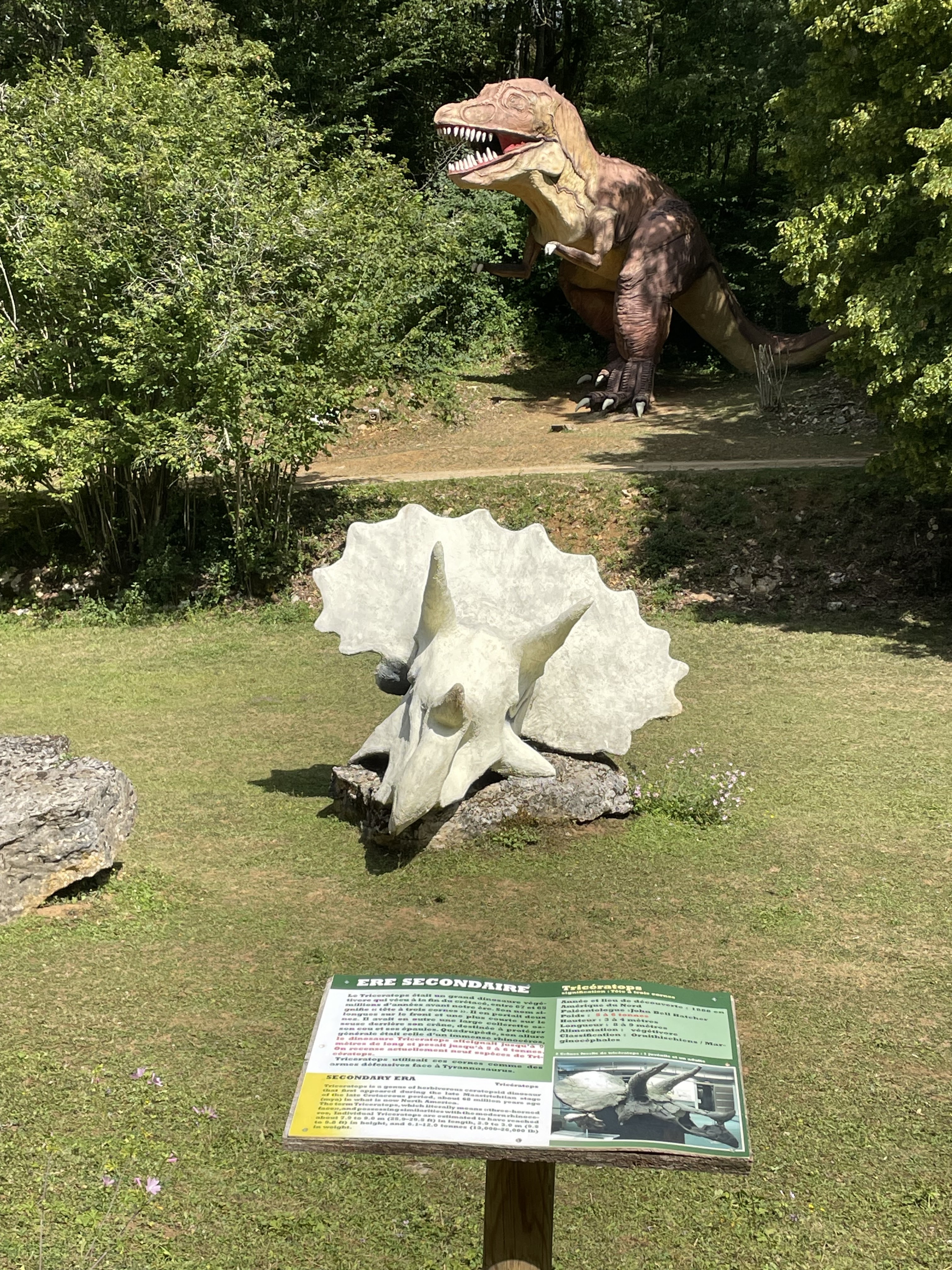 Photo n° 3 de l'avis de Françoise.l fait le 20/07/2023 à 19:51