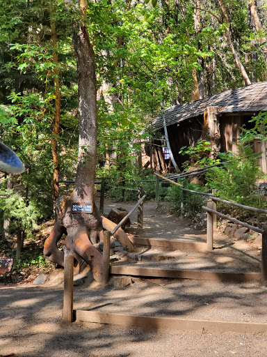 Tourist Attraction «Oregon Vortex», reviews and photos, 4303 Sardine Creek L Fork Rd, Gold Hill, OR 97525, USA
