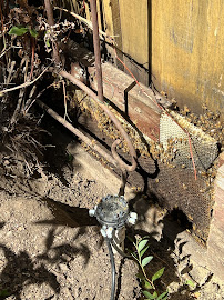 Humble Bee Removal - Photo 5 - Car repair in , San Francisco