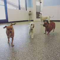 Mama Bear's Bed & Biscuit - Photo 4 - Car repair in Phoenix, AZ, Phoenix