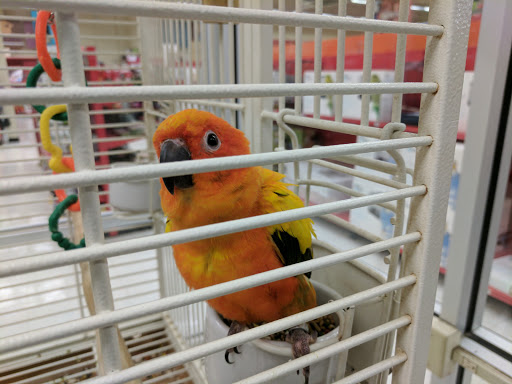 Pet Supply Store «Petco Animal Supplies», reviews and photos, 2131 Pleasant Hill Rd, Duluth, GA 30096, USA