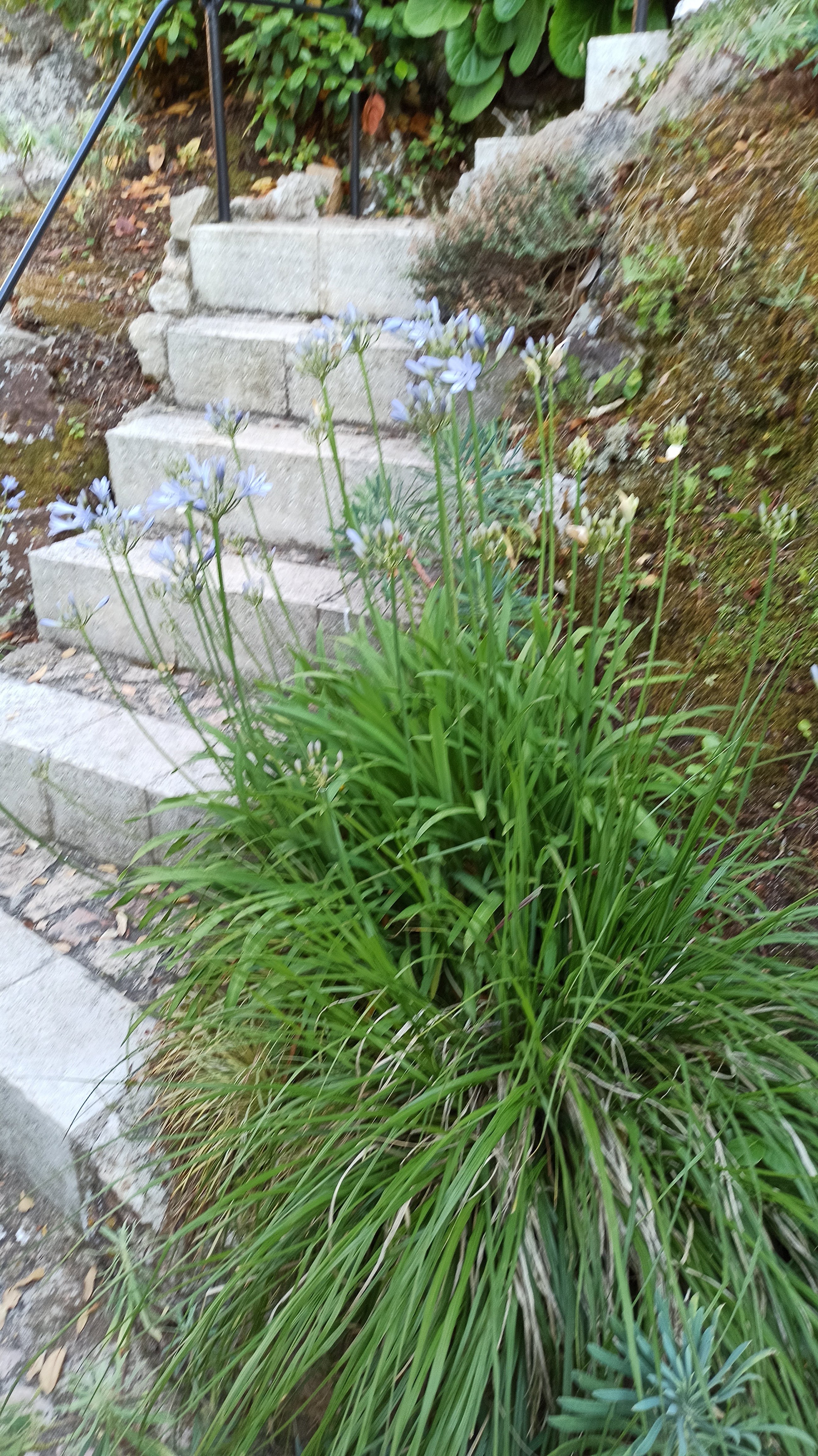 Photo n° 32 de l'avis de Laurent.a fait le 11/07/2021 à 10:38
