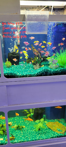 Pet Store «Southside Aquatics», reviews and photos, 2039 Pleasanton Rd, San Antonio, TX 78221, USA