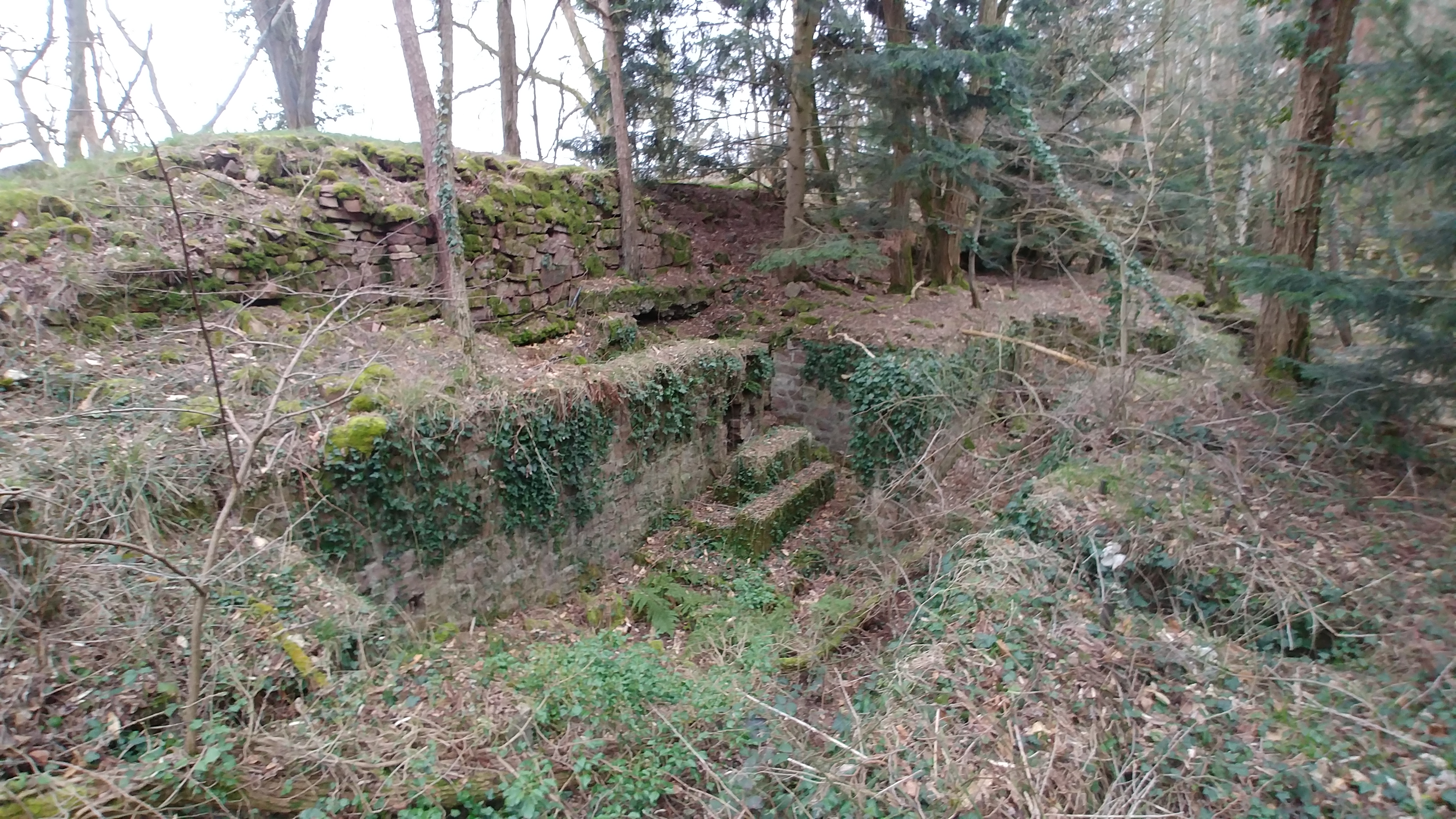 Photo n° 5 de l'avis de Laugal.a fait le 16/04/2023 à 15:40