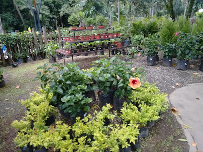 Viveros Jardín Botánico De Medellín