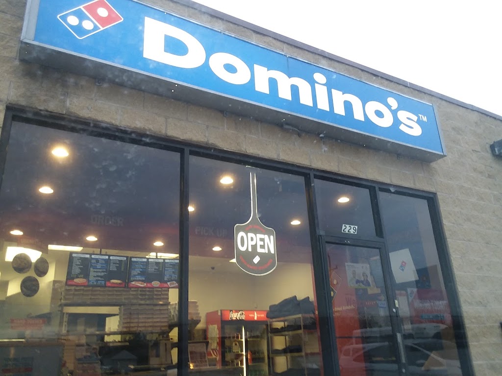 Domino's Pizza 60030