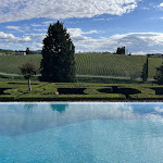 Photo n°4 de l'avis de David.u fait le 21/09/2022 à 20:07 sur le  Tre Rane Ruffino à Bagno a Ripoli