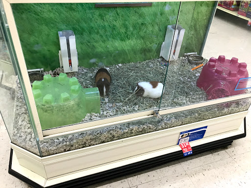 Pet Supply Store «PetSmart», reviews and photos, 1520 Pleasant Valley Rd, Manchester, CT 06042, USA