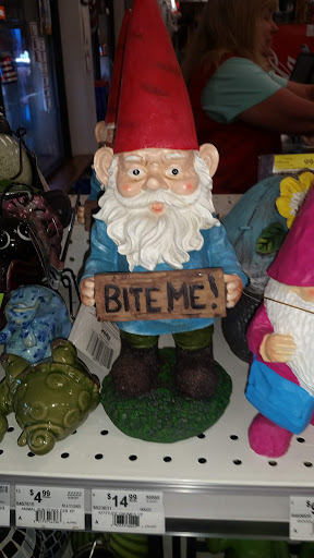 Hardware Store «Leader Ace Hardware», reviews and photos, 980 IL-22, Fox River Grove, IL 60021, USA