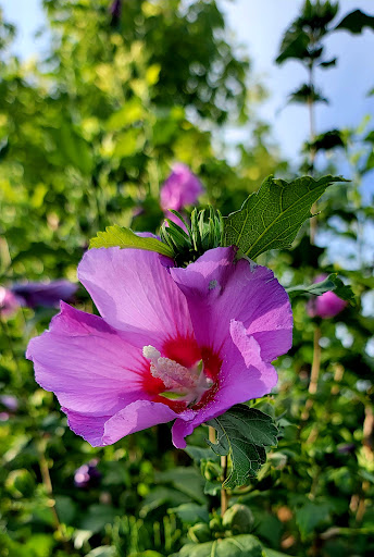 Golf Course «Fox Hollow Golf Course», reviews and photos, 1400 N 200 E, American Fork, UT 84003, USA