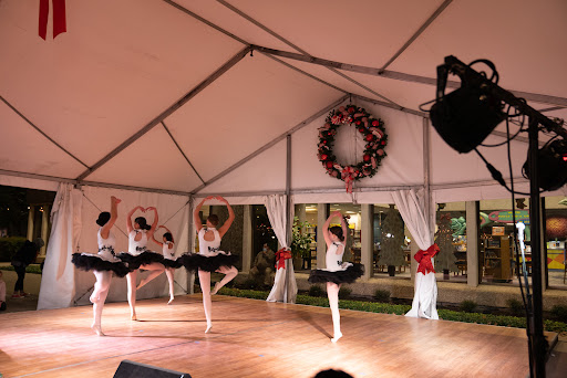 Dance School «Preston Hollow Dance», reviews and photos, 3720 Walnut Hill Ln #205, Dallas, TX 75229, USA