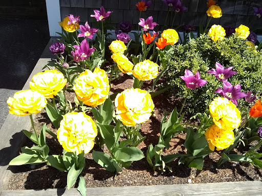 Supermarket «Lees Market», reviews and photos, 796 Main Rd, Westport, MA 02790, USA